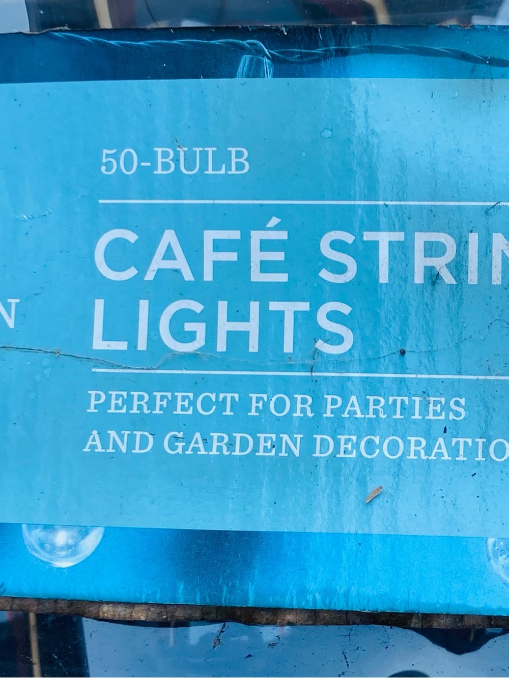 Cafe string lights